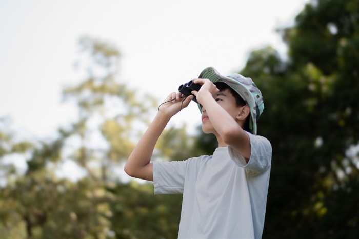 Teach your kids to be young birders!