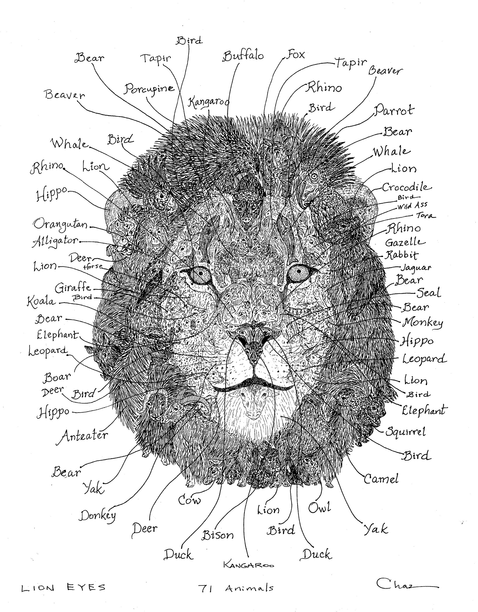 Hidden animal answer key for Chaz Letzkus "Lion Eyes" cover art