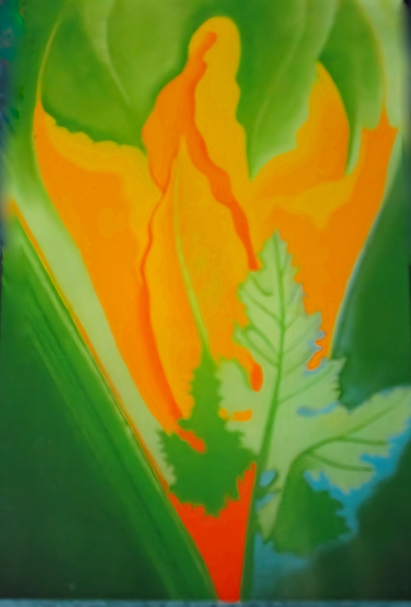 Summer Squash Blossom, pastel by Mym Tuma