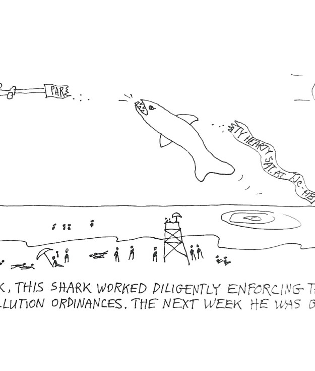 shark Mecox Cartoon by Dan Rattiner