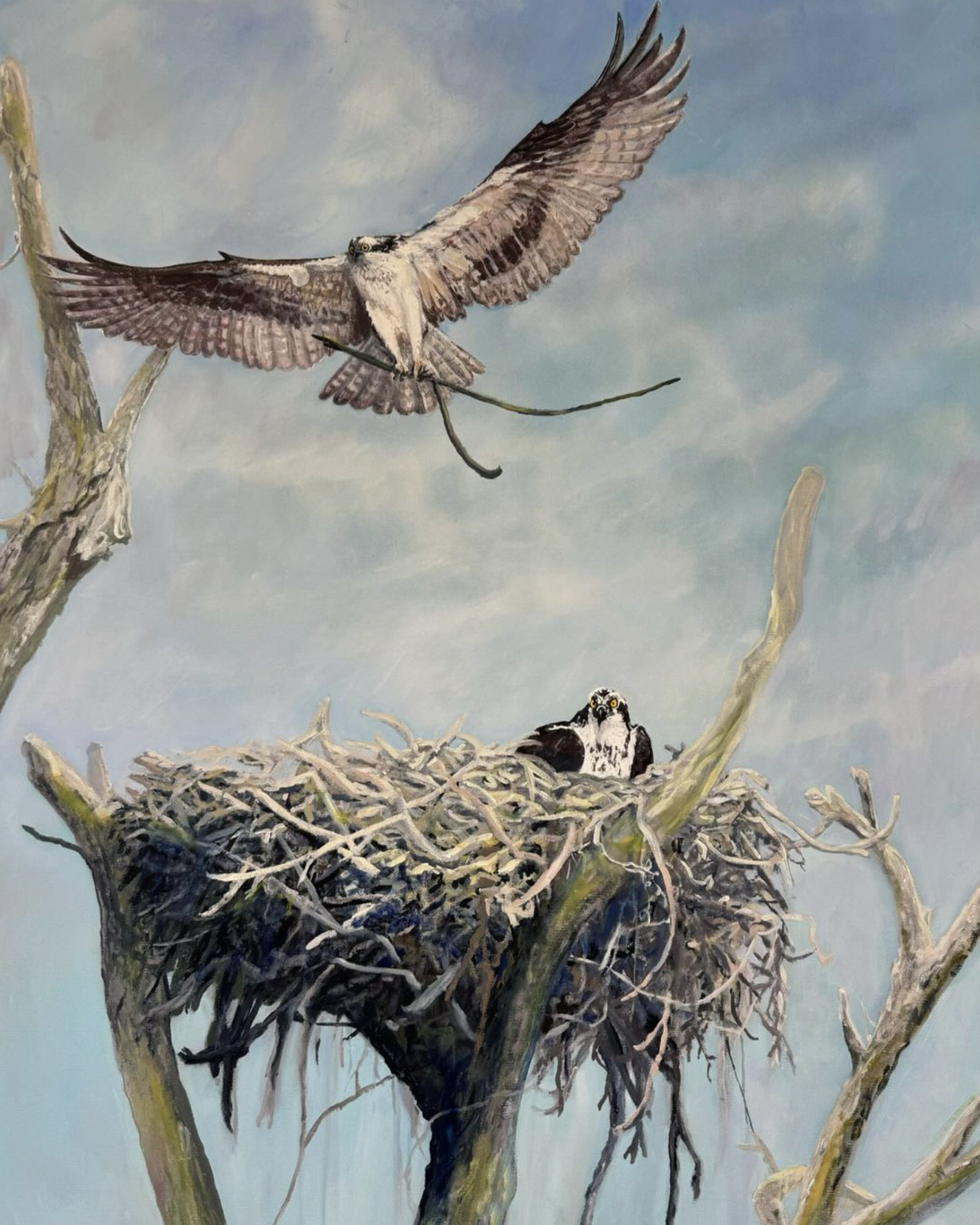 Osprey painting by Diane Alec Smith