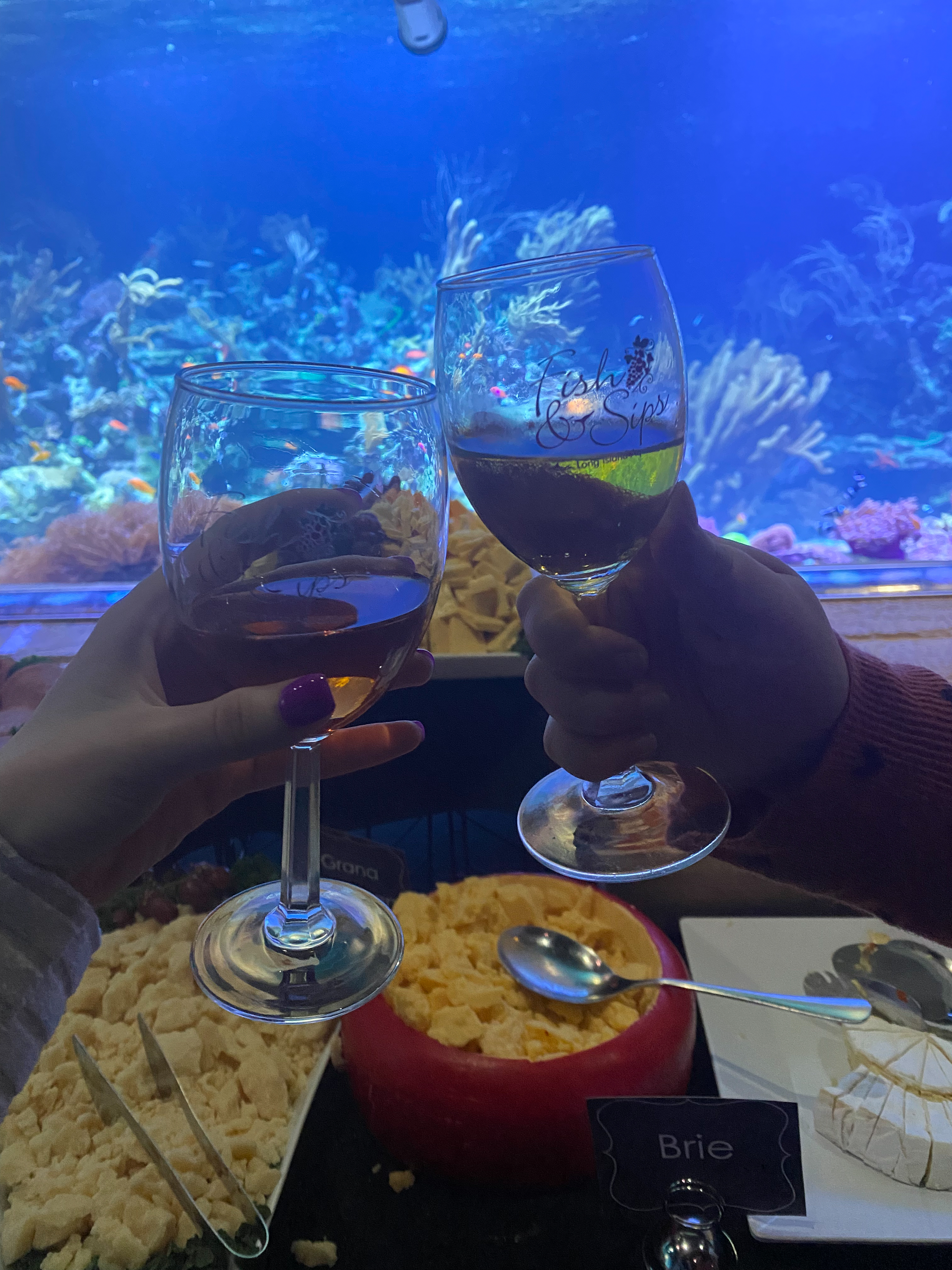 Fish and Sips at the Long Island Aquarium is back.