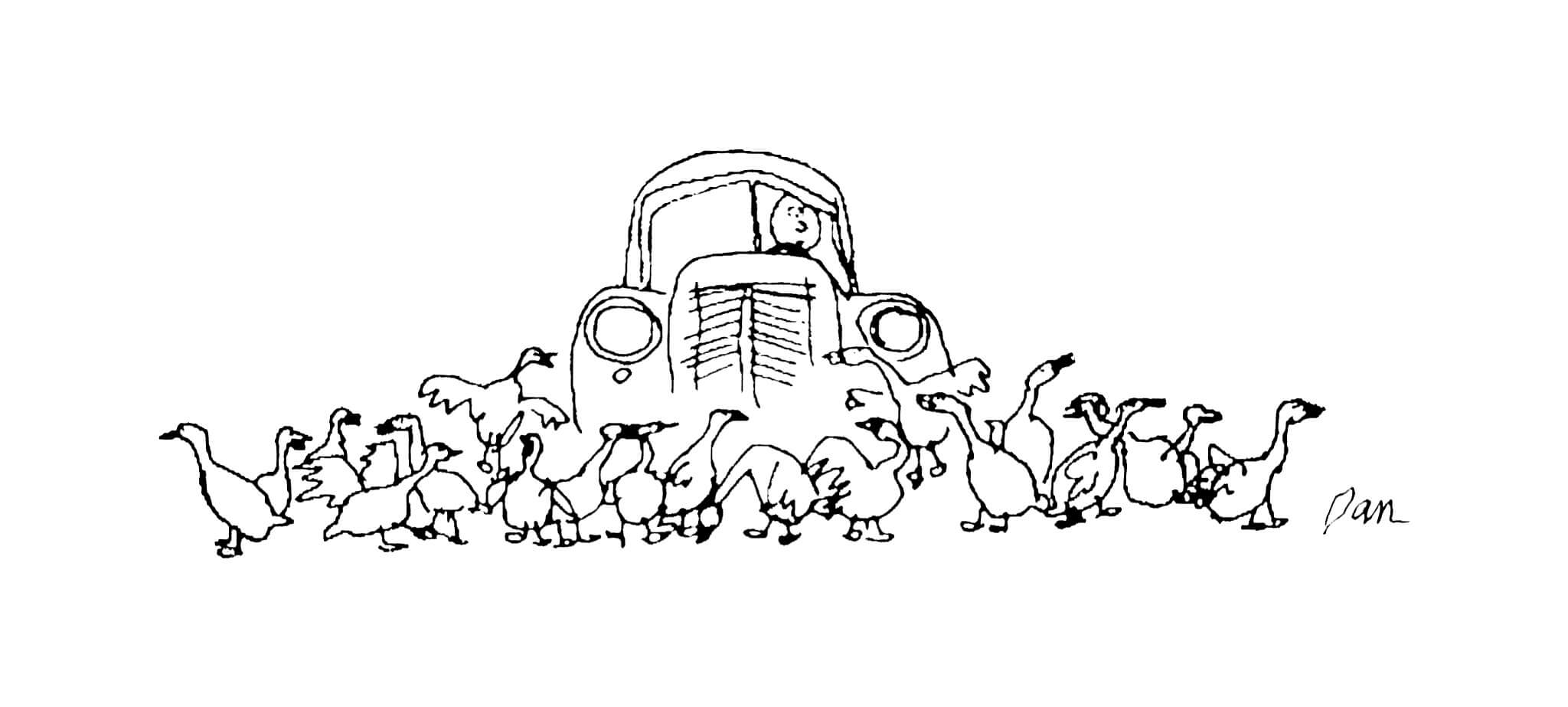 Car with ducks crossing road cartoon by Dan Rattiner