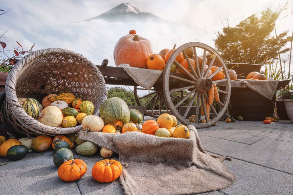 Halloween is over – but pumpkin season isn't! Make pumpkin volcanoes with your kids in Westhampton Beach on Nov. 14.