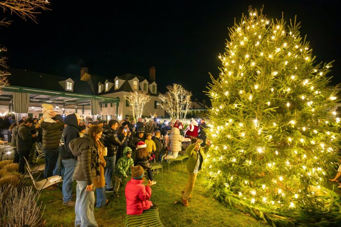 The Canoe Place tree lighting drew a festive crowd of revelers