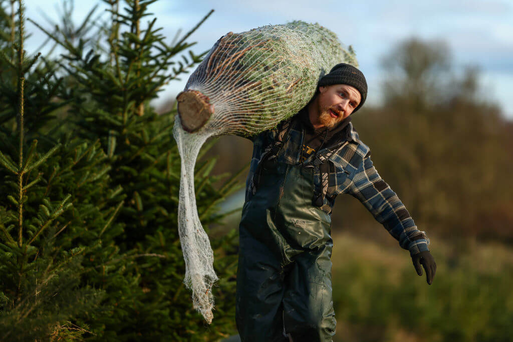 Local Christmas tree farms have what you need this season