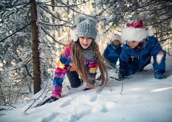 Your kids can hunt for tracks and scat in Bridgehampton this week