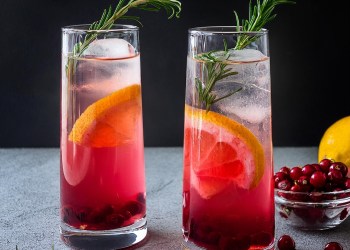 Harmony Gin cranberry gin fizz