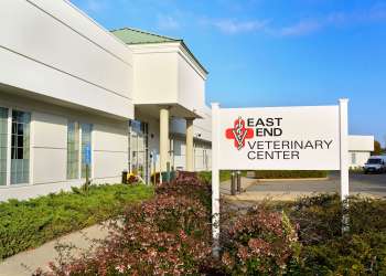 The East End Veterinary Center in Riverhead