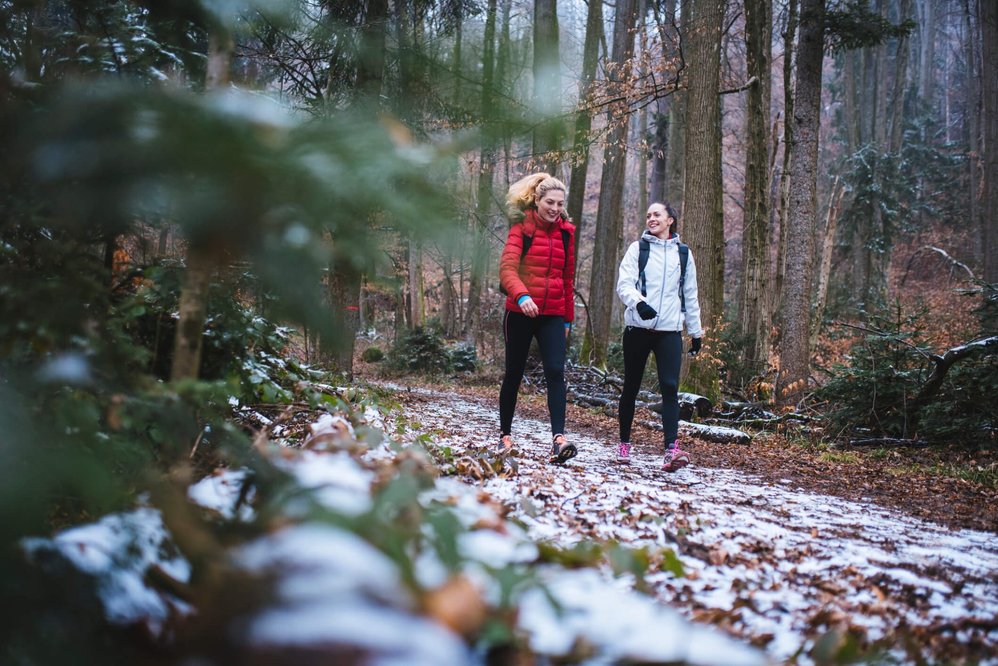 There will be a winter trail walk at the Quogue Wildlife Refuge this weekend.