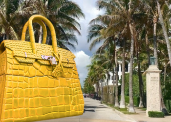 BIG BIRK, the world's largest Birkin bag, is coming to Art Palm Beach