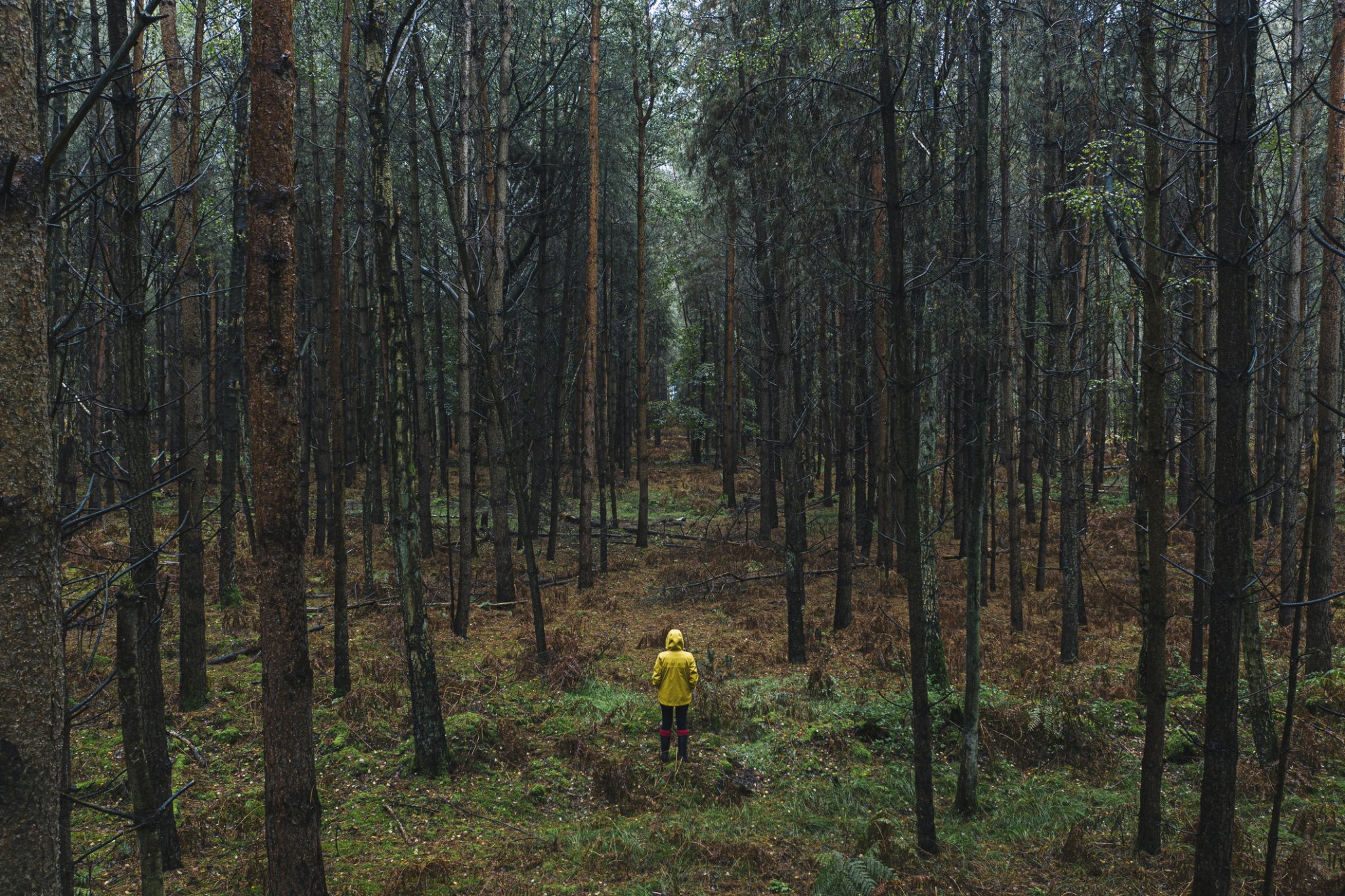 The beauty of being alone