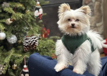 A happy customer at Harbor Pets.