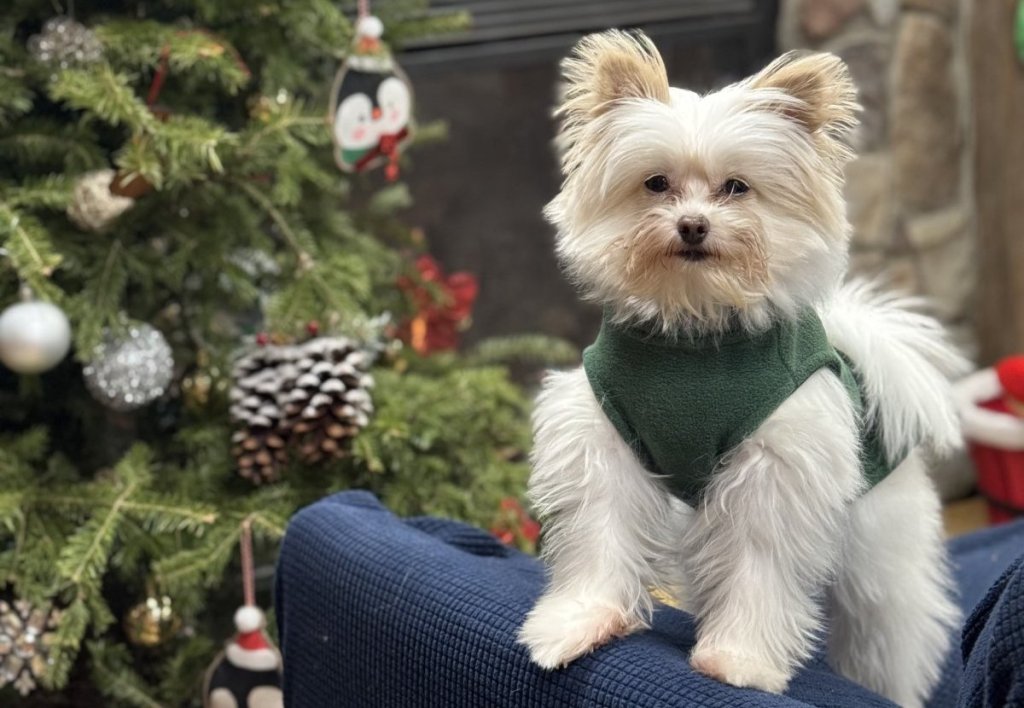 A happy customer at Harbor Pets.