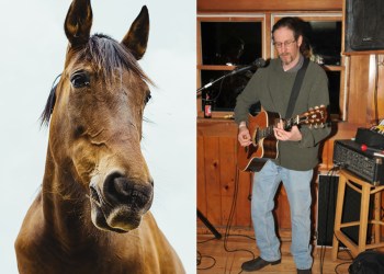 Get ready to be serenaded by East End musician Todd Grossman or hang with horses at Spirit's Promise on the North Fork