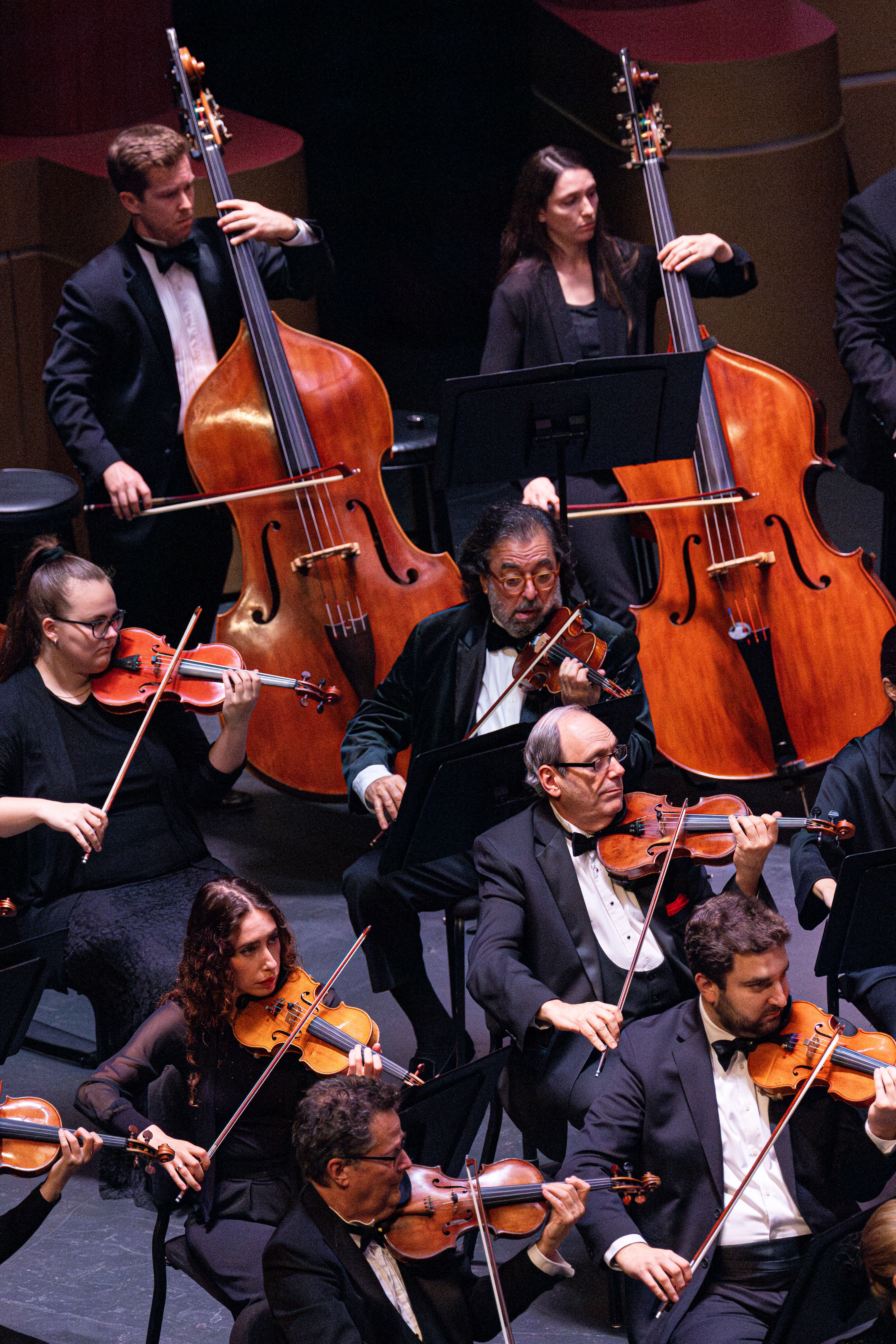 Palm Beach Symphony musicians