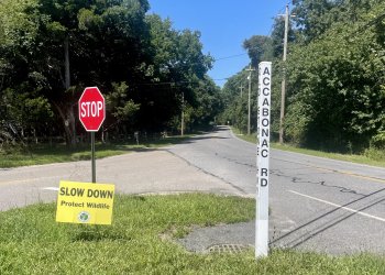 Signs protect wildlife in East Hampton