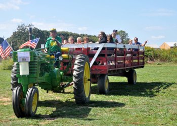 There's much North Fork fun to be had at the Hallockville Museum Farm Country Fair