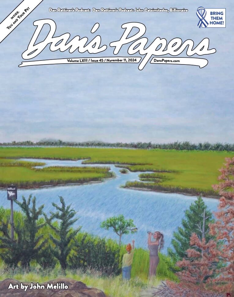 "Birdwatching" - November 8, 2024 Dan's Papers cover art by John Melillo